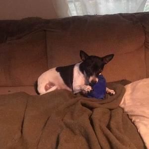 Meet your Posher, Greg